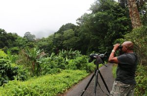 Développer le tourisme durable