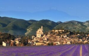 Rencontres dans le Parc Naturel Régional du Luberon