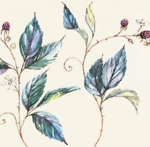 Atelier des Plantes Bleu Tomate le mag