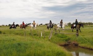 Marais du Vigueirat