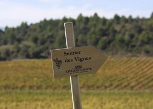 Le Sentier des Vignes