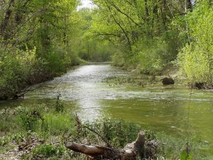 le Largue à Villeneuve (04)