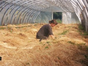 la ferme de la Durette cherche paysan