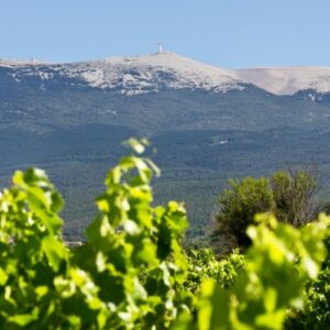 1420194344Vue_du_Mont_Ventoux Bleu Tomate