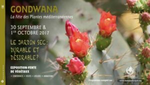 16-9e_Gondwana_17_1-800x600 Bleu Tomate