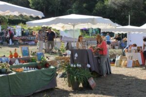 gondwana-2016-domaine-du-rayol-chloe-4-e1493383580602 Bleu Tomate