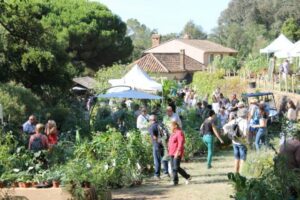 gondwana-2016-domaine-du-rayol-chloe-6-e1493383608667 Bleu Tomate
