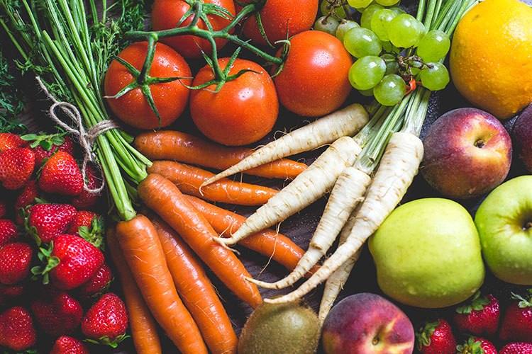 créer un potager bio