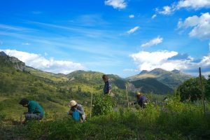 Permaculture avec Cultures Permanentes