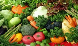 cycle animations alimentation