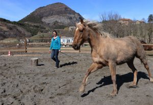Marie dans la carrière