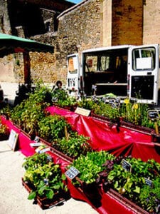 stand-2 Bleu Tomate