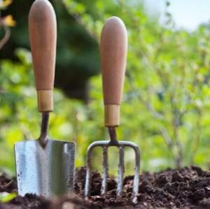 Tous Jardiniers présente les semences libres