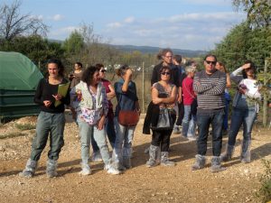 Des visiteurs intéressés par l'élevage de poules