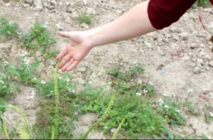 rencontre agriculturelles decembre Bleu Tomate