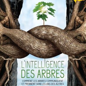 le film L'intelligence des arbres à Marseille