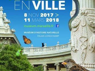 affiche de l'expo Nature en Ville