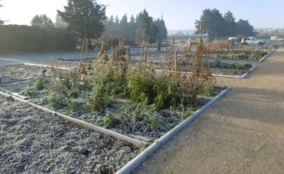 Jardins Cheval-Blanc et plantes sauvages