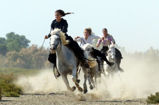 Le féminin en Camargue avec le Musée