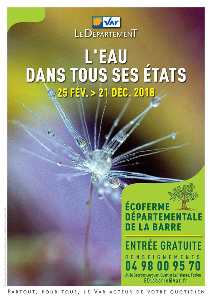 L'eau dans tous ses états Bleu Tomate le mag