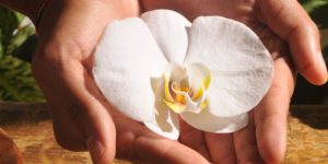 film sur la naturopathie