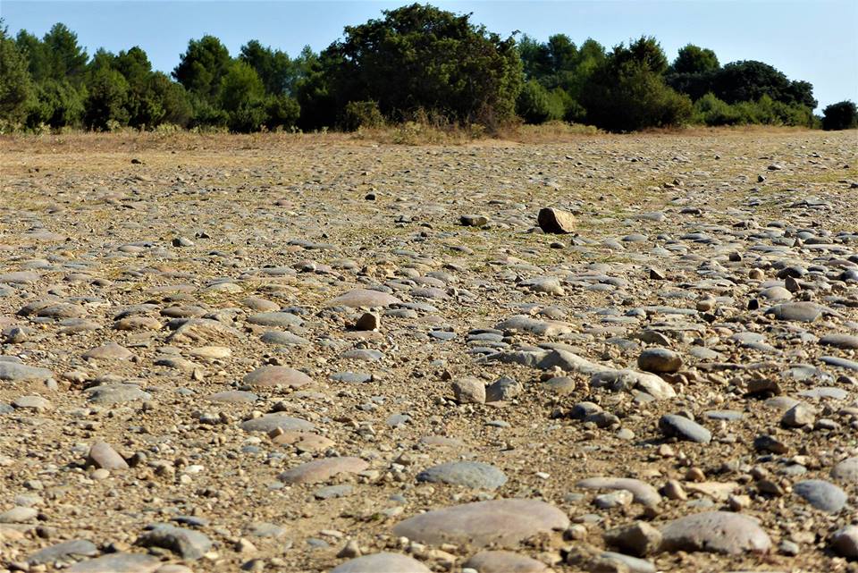 balade dans les Alpilles