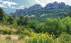 Dentelles de Montmirail