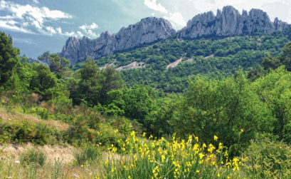 Dentelles de Montmirail