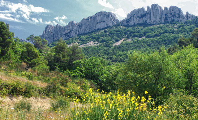 Dentelles de Montmirail