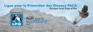 LPO AIX image FB Bleu Tomate