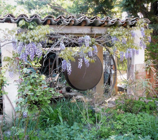 cuisine végétarienne au Jardin d'Oren