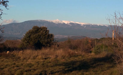 Bédoin au pied du Ventoux