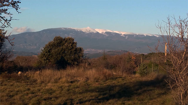 Bédoin au pied du Ventoux