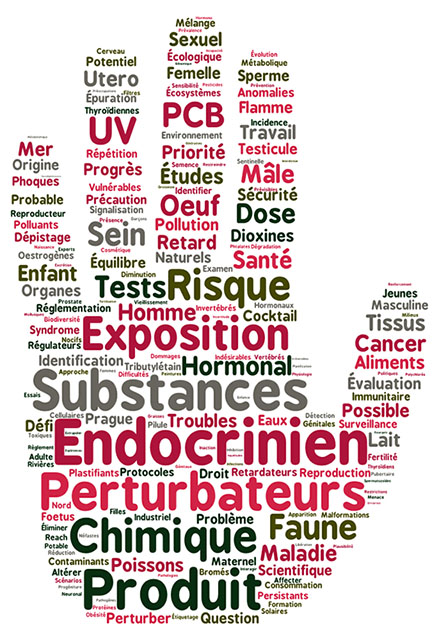 Afficher l’image source