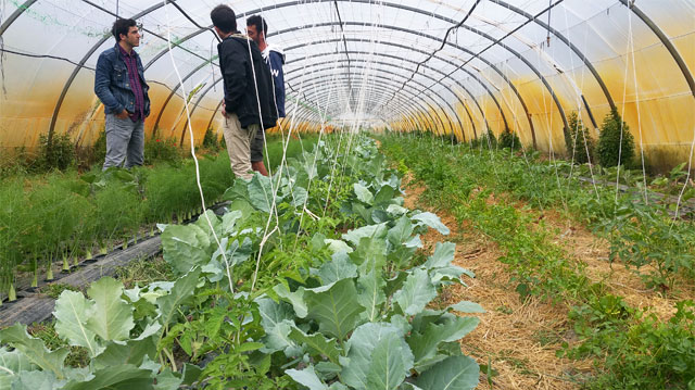 les paysans du collectif du Pays des Sorgues