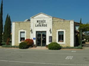 Musée_lavande Bleu Tomate