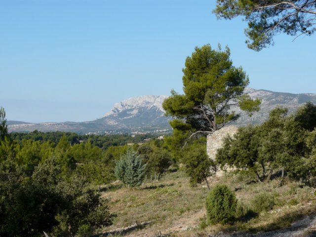 La Tournée de la Forêt Modèle de Provence Bleu Tomate le mag