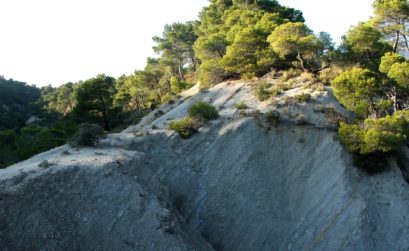 Sortie buissionnière avec le PNR Luberon