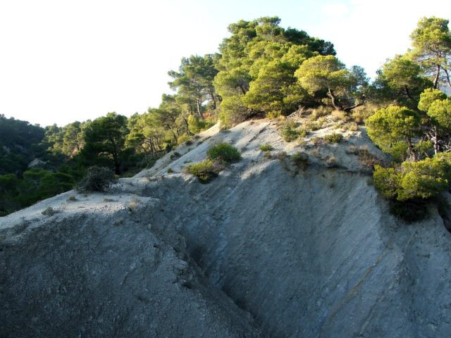 Sortie buissionnière avec le PNR Luberon