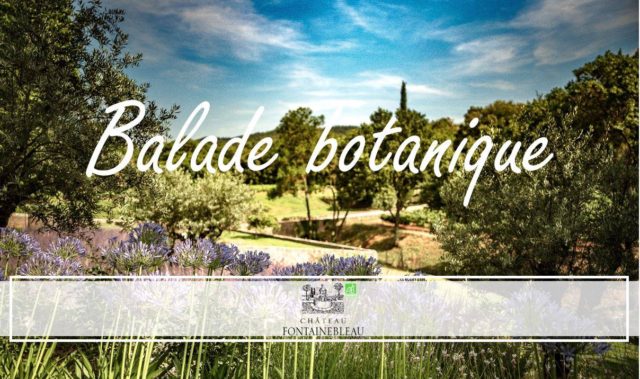 balade botanique au château Fontainebleau du Var
