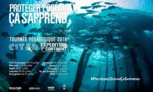 proteger l'ocean Bleu Tomate