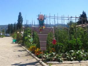 Jardins Partagés et gais