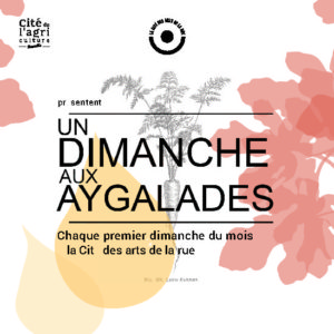Flyer_dimanche_aux_aygalades_automne Bleu Tomate le mag