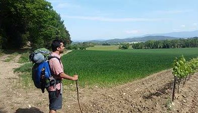 Provence à Pied