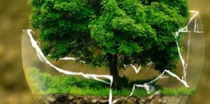 Université Populaire de Permaculture