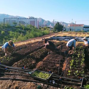 le fonds soutient le Talus
