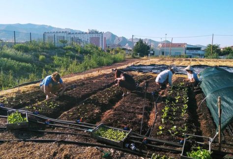 le fonds soutient le Talus