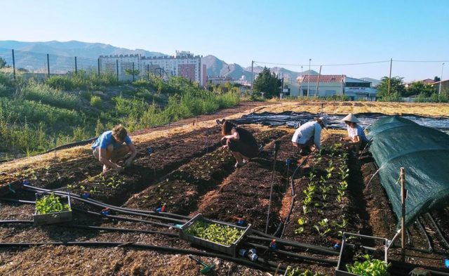 le fonds soutient le Talus