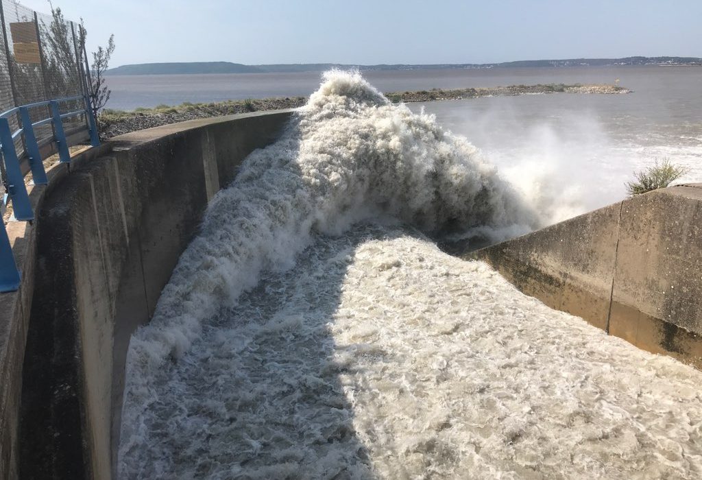 Etang De Berre La Catastrophe Ecologique Continue Bleu Tomate Le Mag