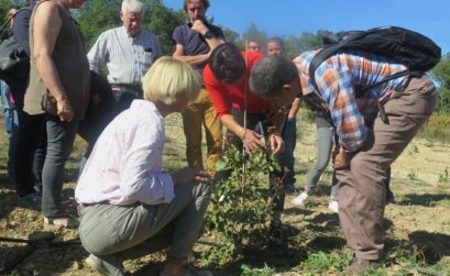 le retour de la pistache